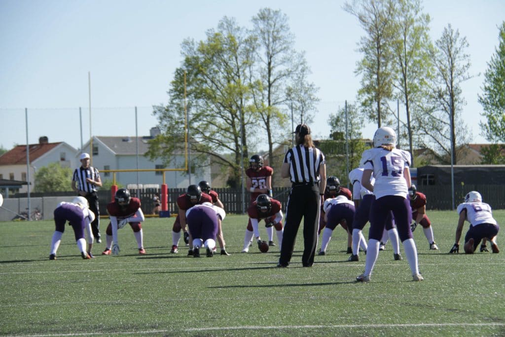 American football players and referee on sunny field