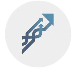 Davids & Bellamy Logo