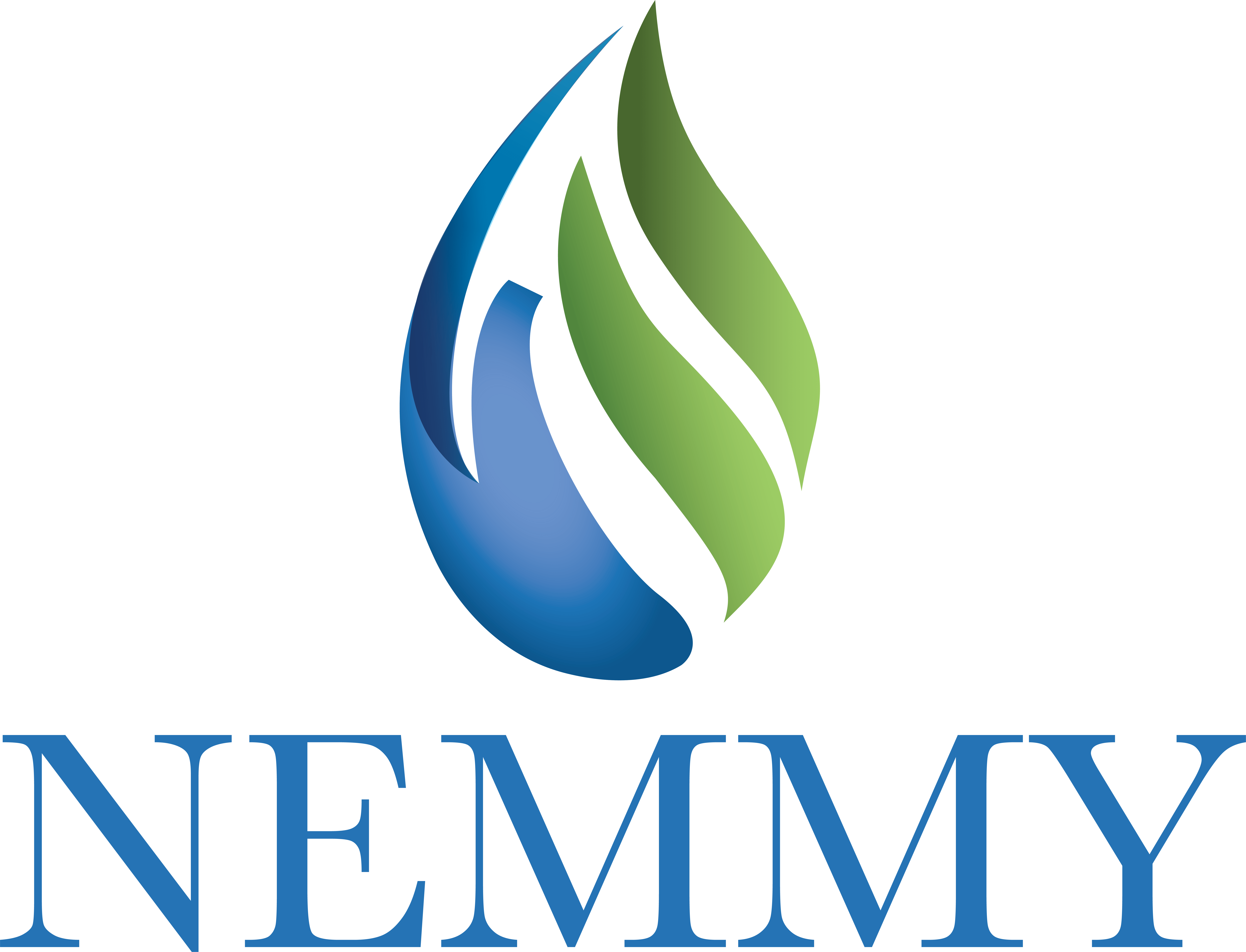 NEMMY Award